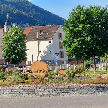 Apartement Am Waldrand Bad Wildbad Zewnętrze zdjęcie