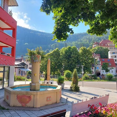 Apartement Am Waldrand Bad Wildbad Zewnętrze zdjęcie