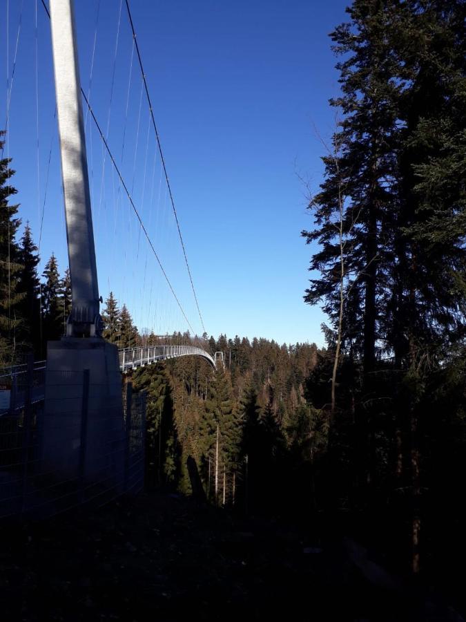 Apartement Am Waldrand Bad Wildbad Zewnętrze zdjęcie